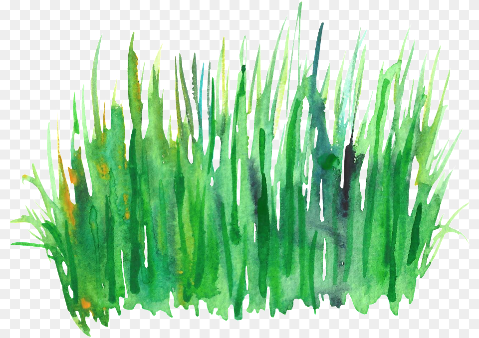 Download Green Grass Cluster Decorative Green Water Color Grass, Plant, Moss, Aquatic Free Transparent Png