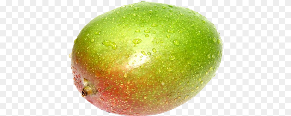 Green Mango Hq Image Avocado, Food, Fruit, Plant, Produce Free Png Download