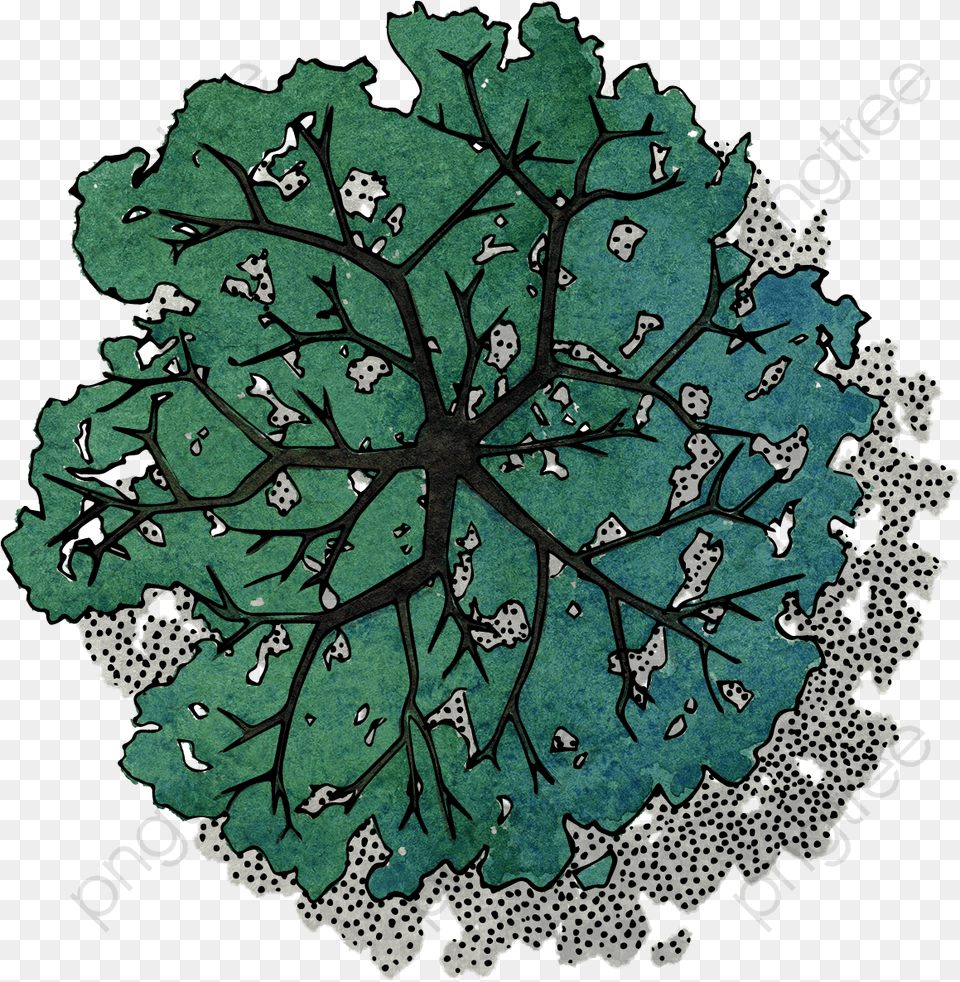 Download Green Tree Top View Tree Birds Eye View, Leaf, Pattern, Plant, Accessories Free Transparent Png