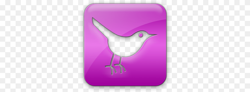 Download Green Twitter Bird Image With No Background Green Twitter Bird, Purple, Animal, Blackbird, Wren Free Transparent Png