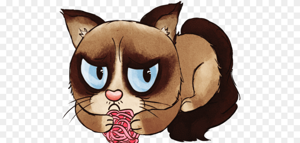 Download Grumpy Cat Clipart Clip Art, Baby, Person, Animal, Mammal Png