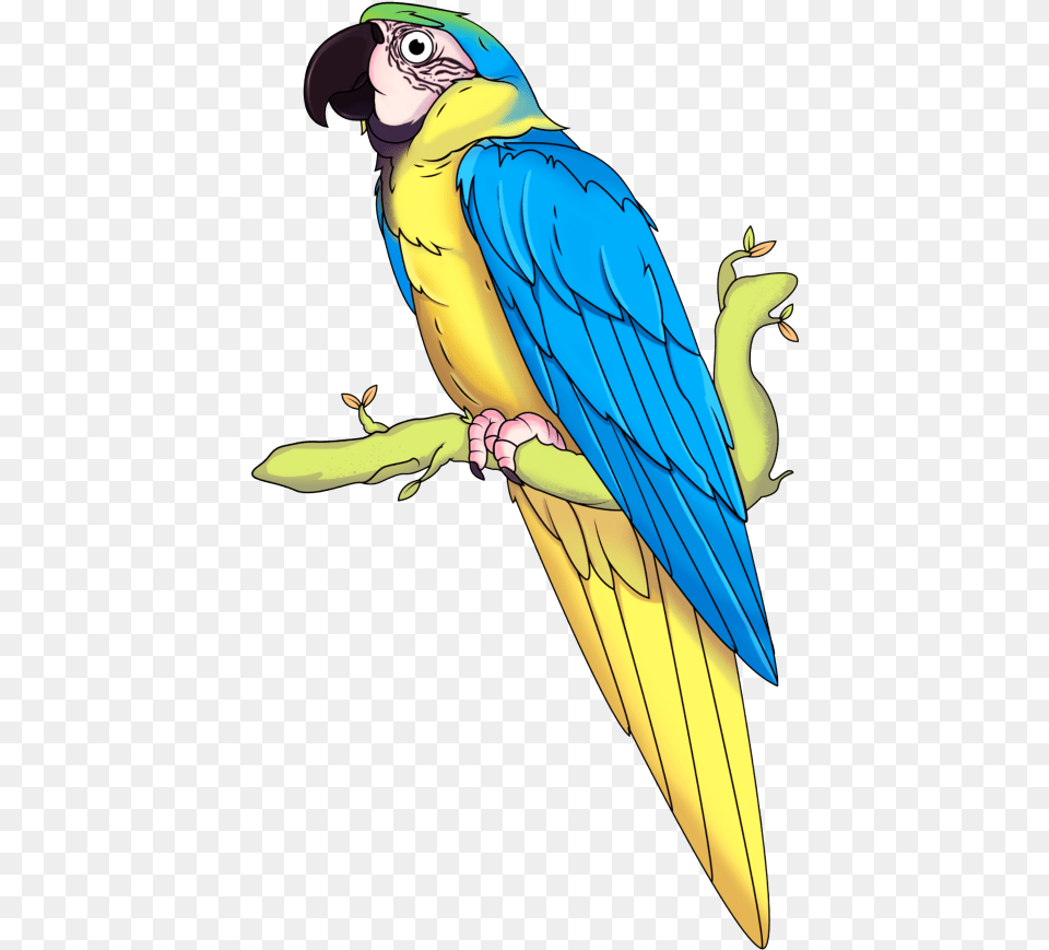 Download Guacamaya Pet Birds, Animal, Bird, Parrot, Fish Free Png