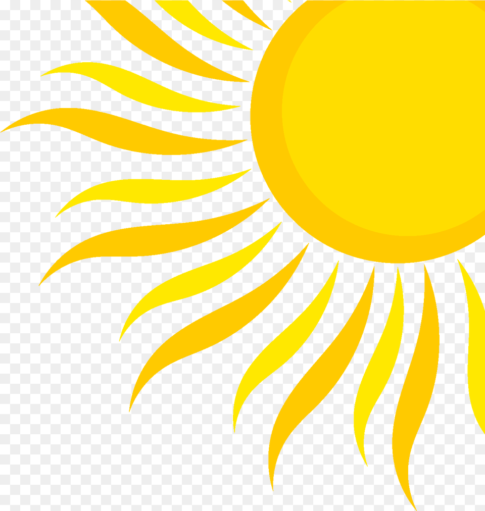 Download Half Sun Transparent Clip Art Summer Sun, Flower, Plant, Sunflower, Petal Png Image