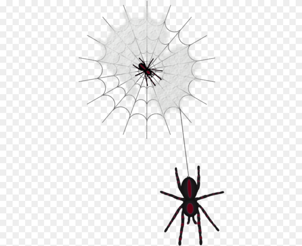 Halloween Web With Spiders Images Background Clip Art, Leaf, Plant, Animal, Invertebrate Free Png Download
