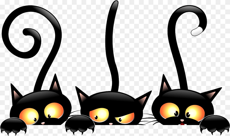 Download Halloween Witch Black Cat Hd Halloween Clip Art, Lighting, Lamp, Festival Png