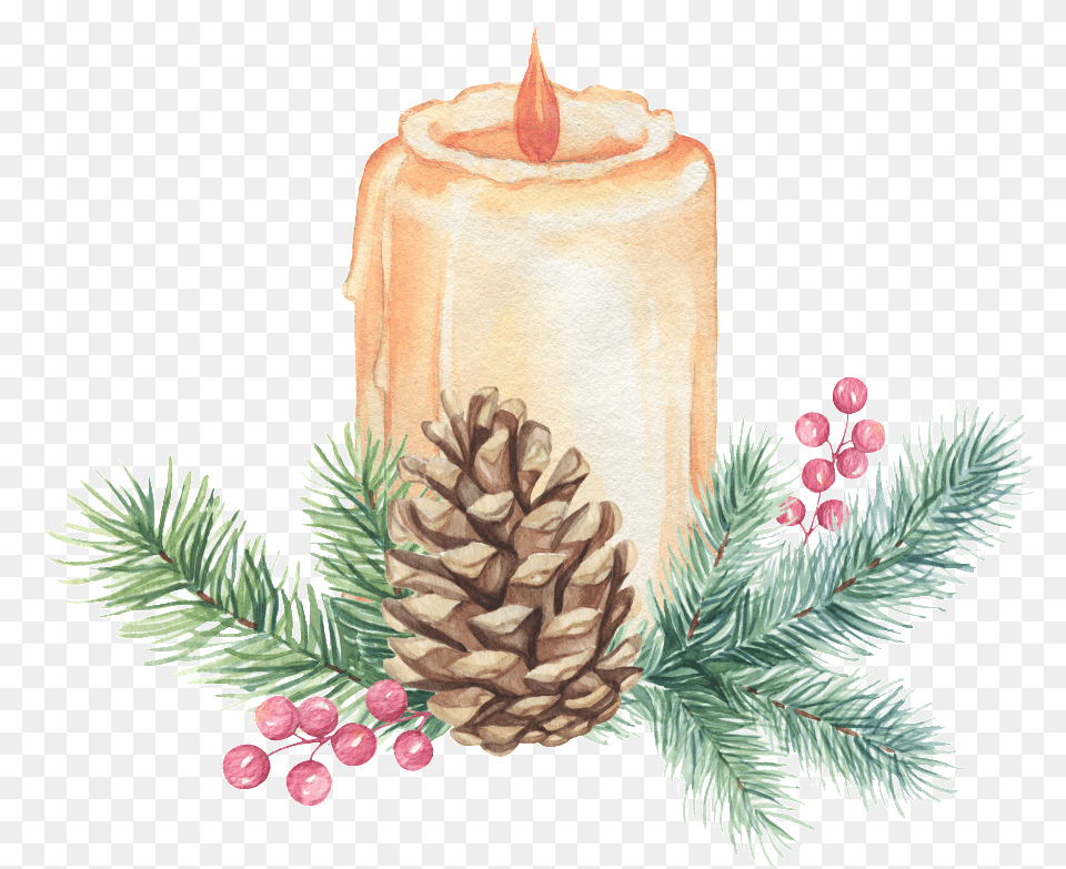 Download Hand Painted Christmas Candle Candle, Plant, Tree, Conifer, Fir Free Png