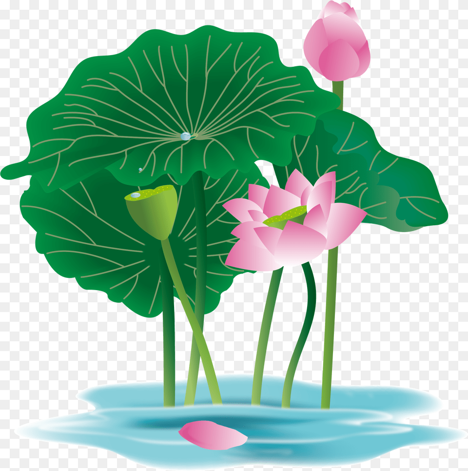 Download Hand Painted Plant Flower Water Lily And Vector Plants, Petal, Green, Leaf, Art Free Png