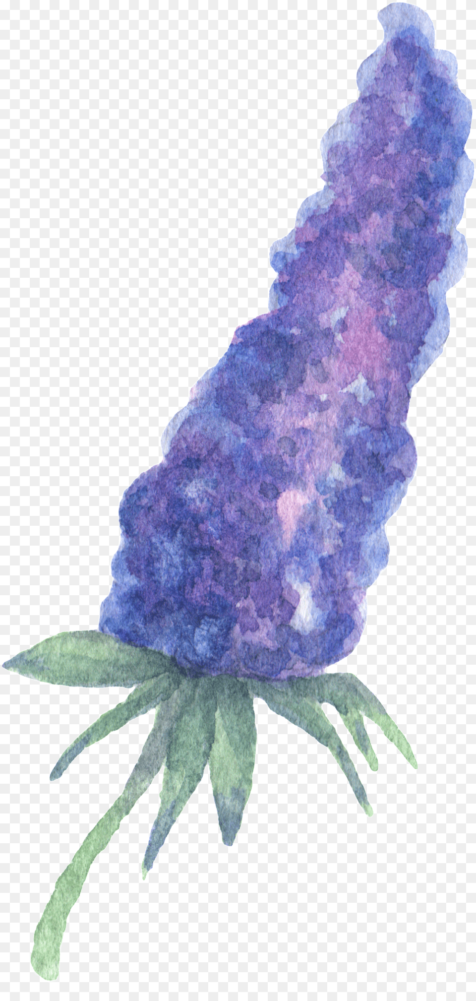 Hand Painted Purple Plant Flower Watercolor Transparent Watercolor Plant, Petal, Person Free Png Download