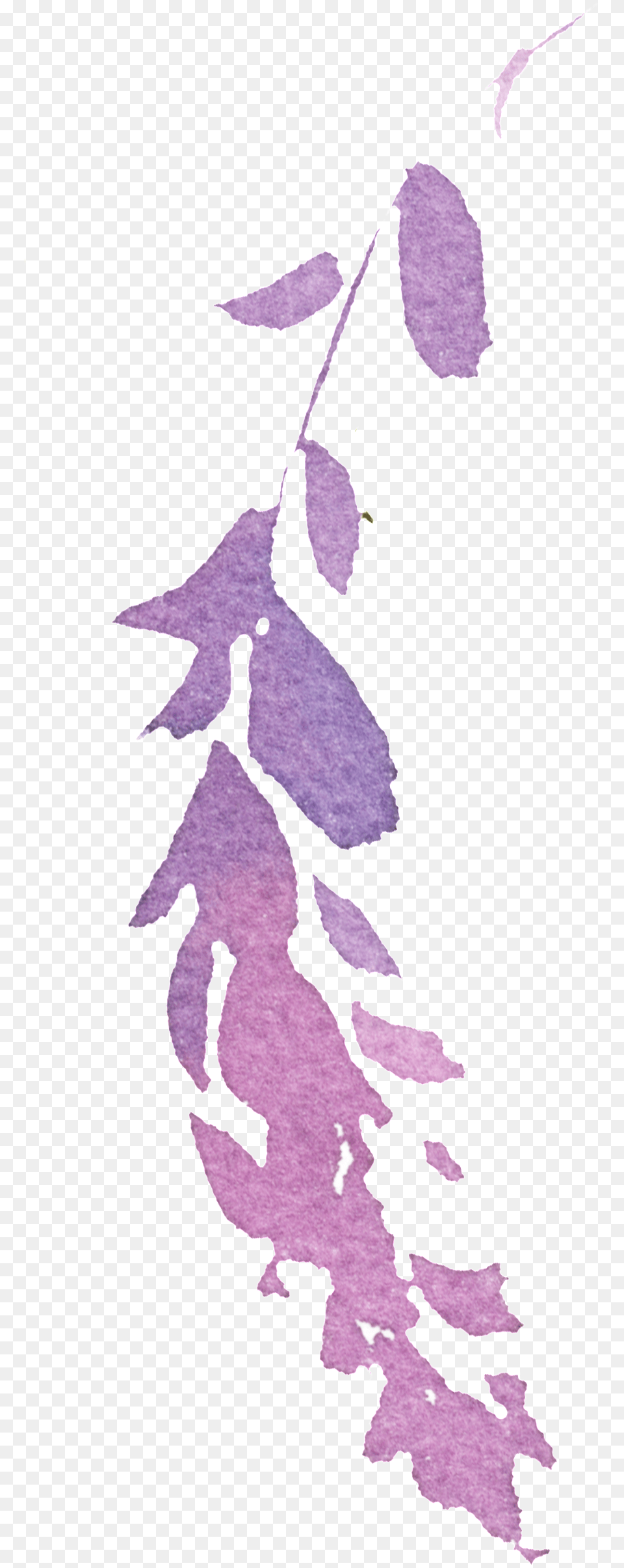 Download Hand Painted Purple Watercolor Leaves, Leaf, Plant, Person Free Transparent Png