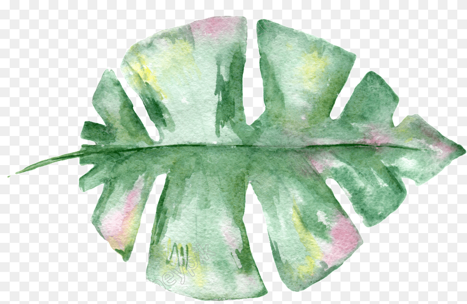 Download Hand Painted Watercolor Leaf Transparent Material Leaves, Plant, Accessories, Jewelry Png