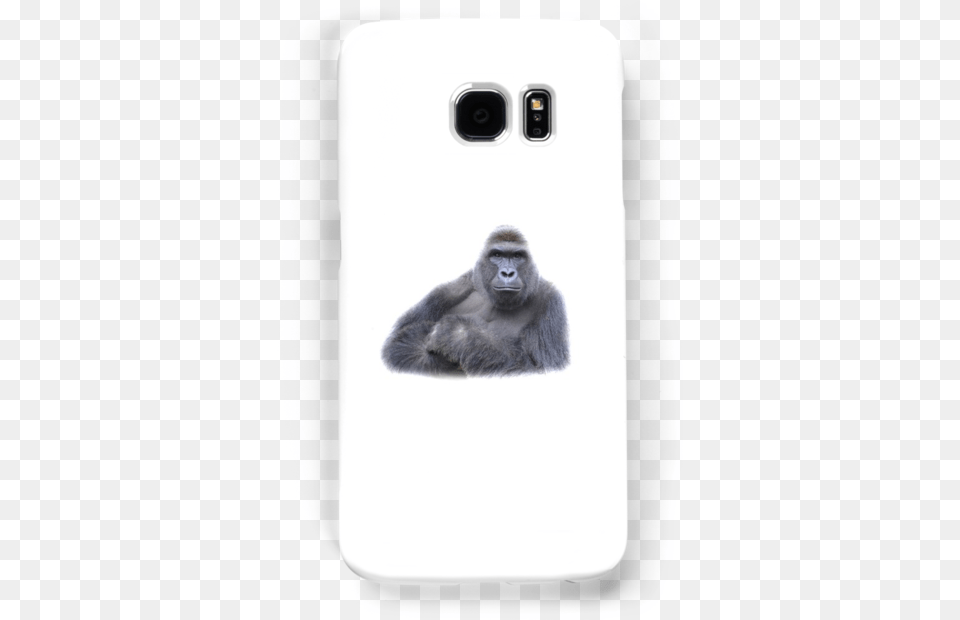 Download Harambe Logo Smartphone, Animal, Ape, Mammal, Wildlife Png