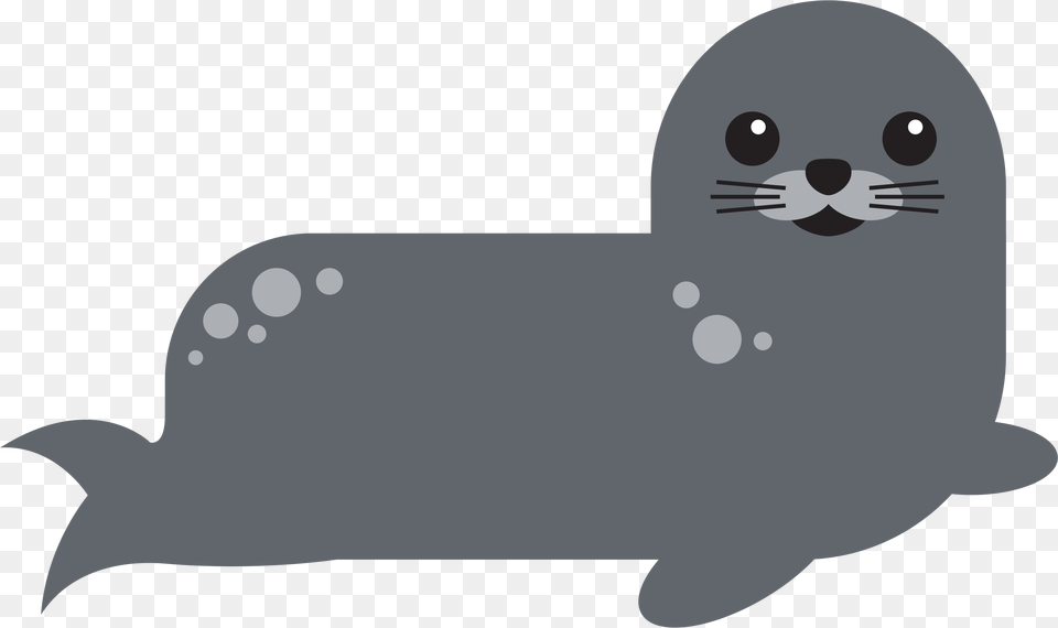 Harbor Seal Transparent Images Transparent Transparent Background Seal Clipart, Animal, Sea Life, Mammal, Sea Lion Free Png Download