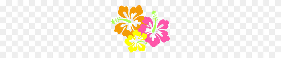Download Hawaii Category Clipart And Icons Freepngclipart, Plant, Flower, Hibiscus, Baby Free Png