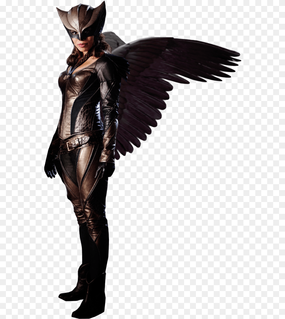 Download Hawkgirl Clipart Hawkgirl Hawkgirl, Adult, Man, Male, Person Free Transparent Png