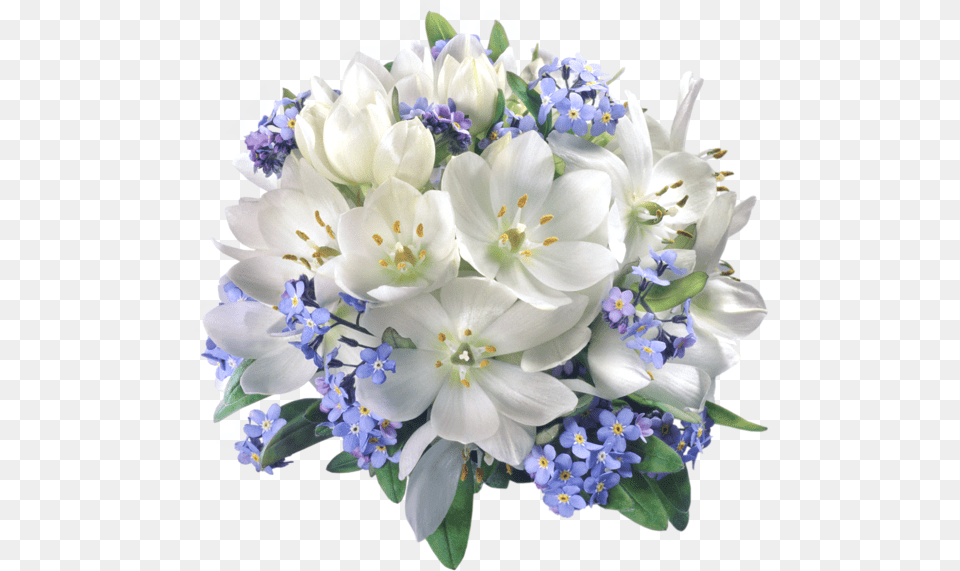 Download Hd 0 White And Blue Flowers Transparent Flower Composition, Flower Arrangement, Flower Bouquet, Plant Png