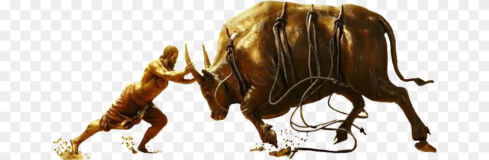 Download Hd 3 Water Buffalo Transparent Image Bahubali Buffalo, Adult, Male, Man, Person Free Png