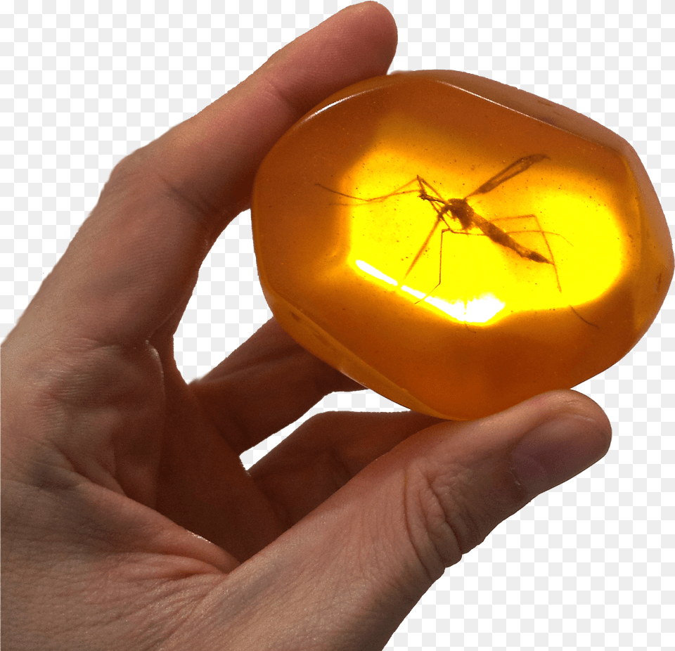 Download Hd Ambar 3m Mosquito Amber, Body Part, Finger, Hand, Person Free Transparent Png