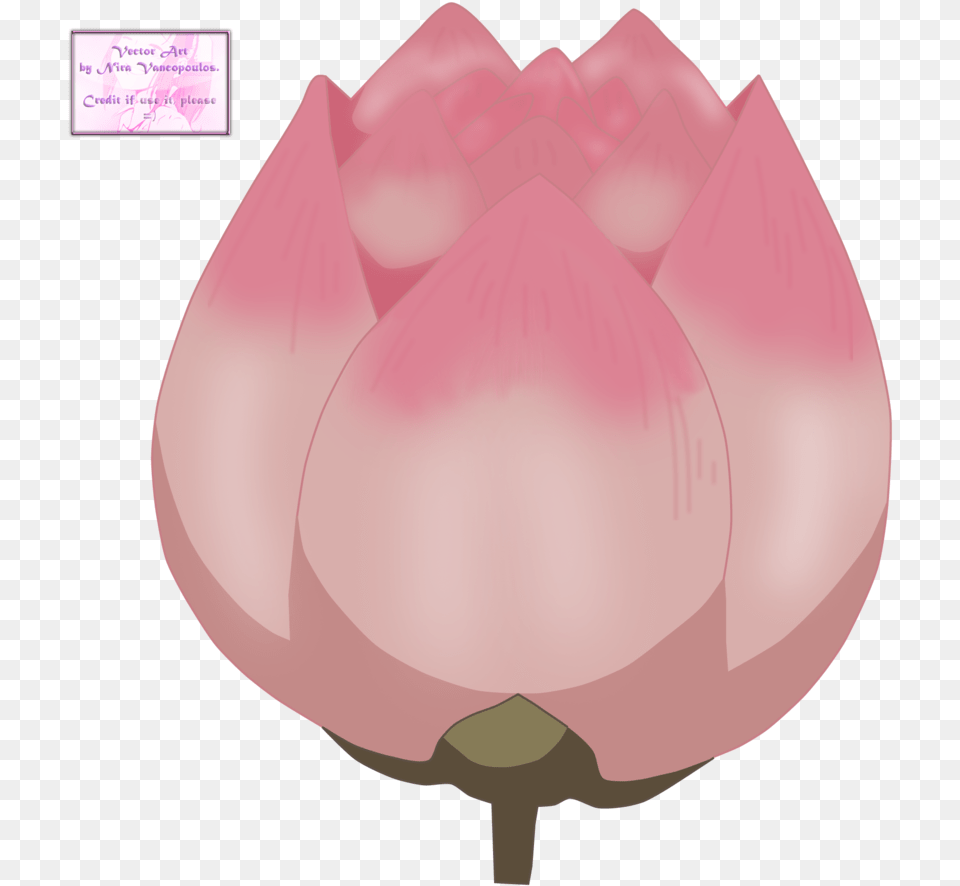 Download Hd Anime Flower Anime Lotus Flower Portable Network Graphics, Petal, Plant, Tulip, Rose Png Image