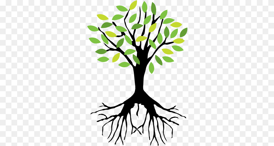 Download Hd Art Tree With Roots, Pattern, Floral Design, Graphics, Green Free Png