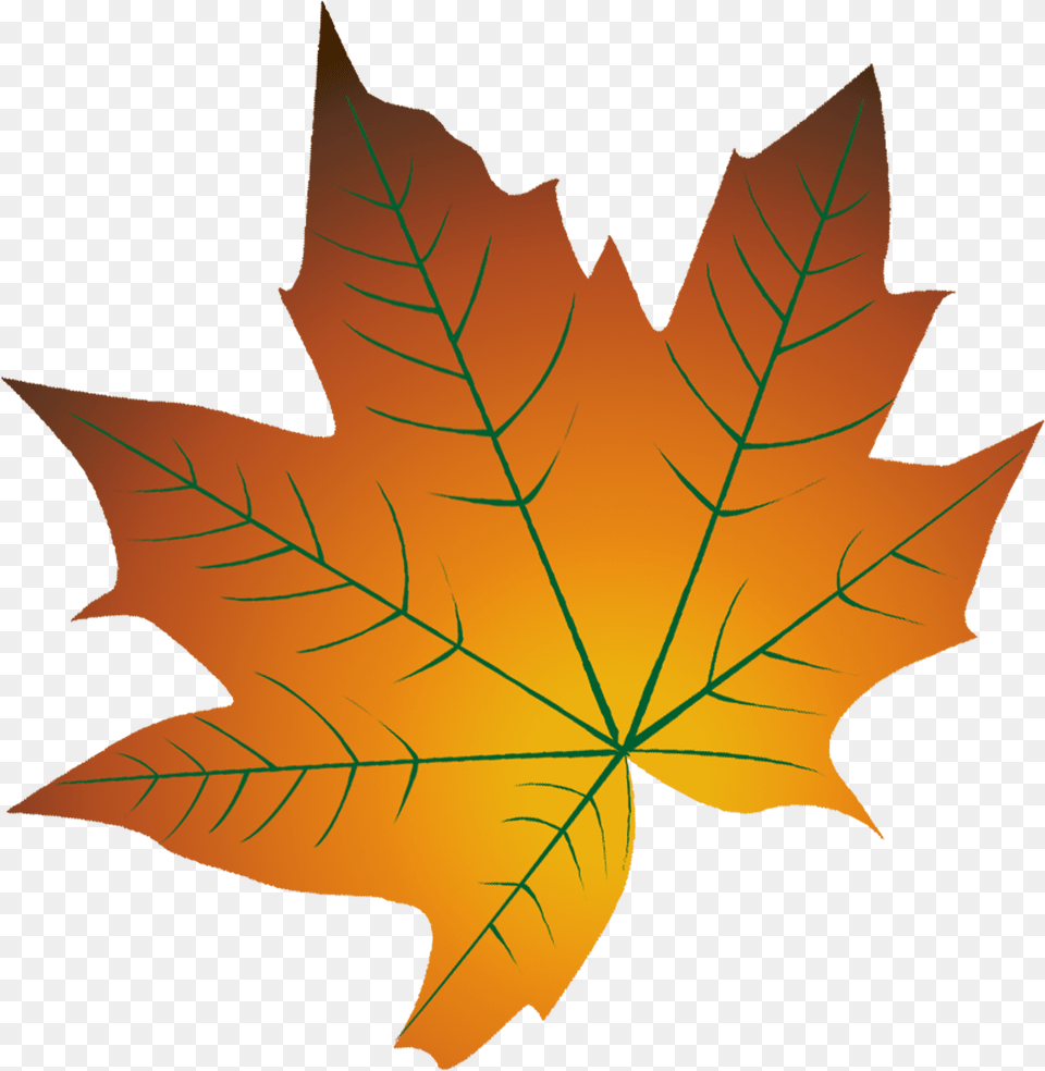 Hd Autumn Leaf Color Cartoon Autumn Leaf Cartoon Transparent, Maple Leaf, Plant, Tree, Person Free Png Download