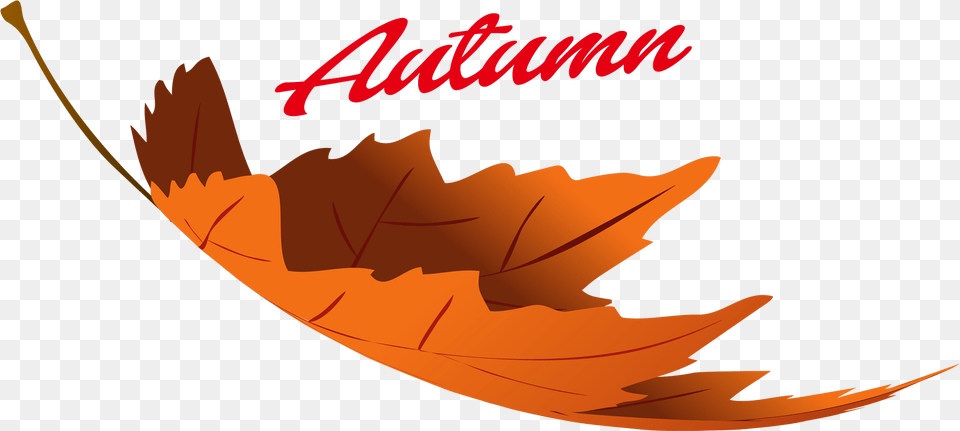 Download Hd Autumn Leaves Image Autumn Leaves Clipart, Leaf, Plant, Animal, Fish Free Transparent Png