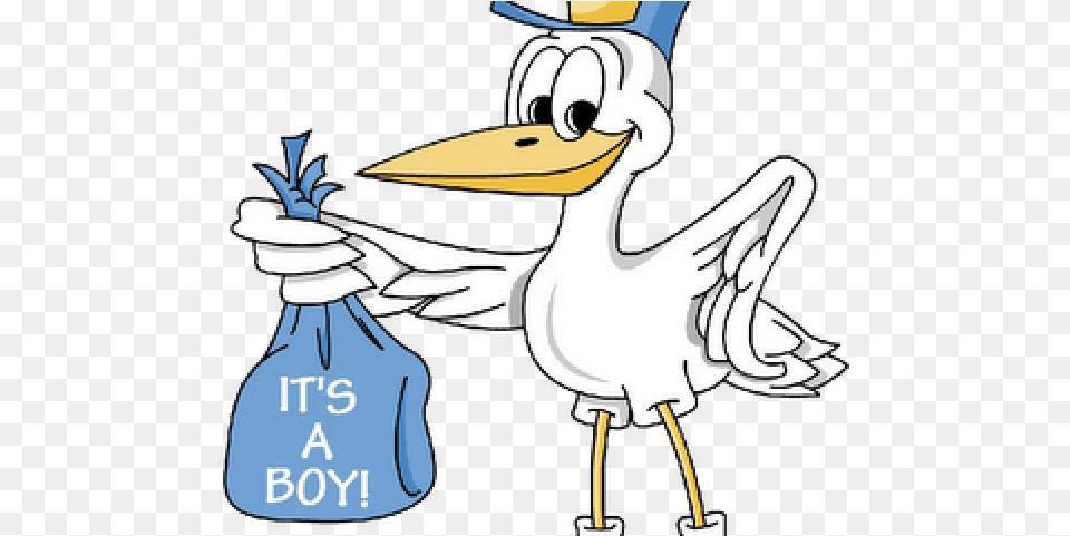 Download Hd Baby Boy Cartoon Images A Boy Bird, Animal, Waterfowl, Adult, Female Free Png