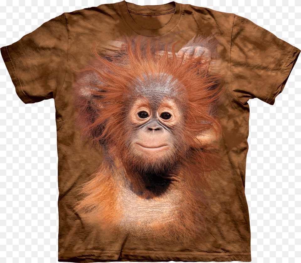 Hd Baby Orangutan Animal T Shirts Transparent Disney Animal Kingdom Lions T Shirts, Mammal, Wildlife, Person Free Png Download