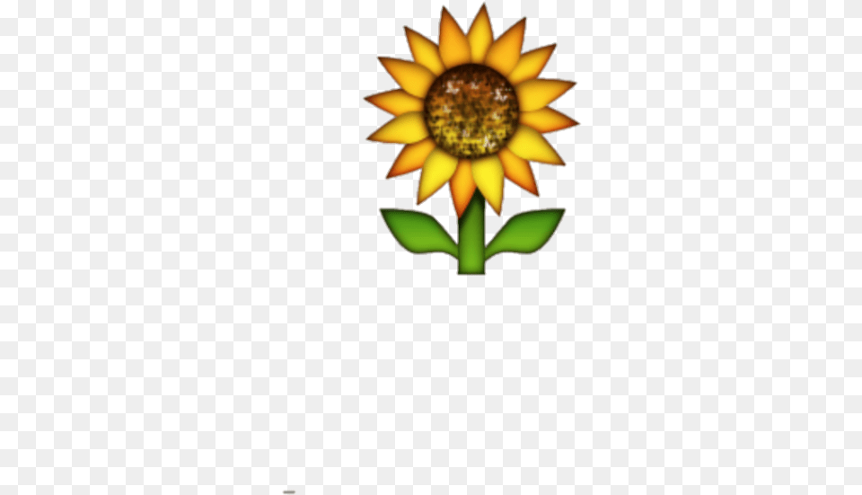 Download Hd Background Sunflower Emoji Sunflower Emoji Background, Flower, Plant, Chandelier, Lamp Free Transparent Png