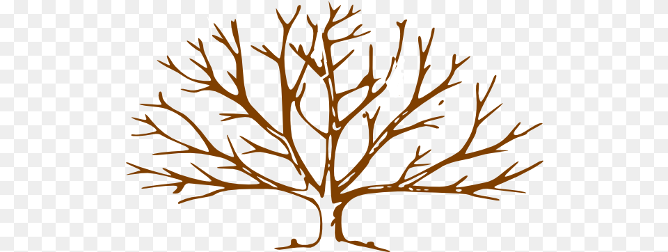 Download Hd Bare Tree Trunk Clipart Cliparthut Free Clipart Tree Trunk, Antler, Plant Png