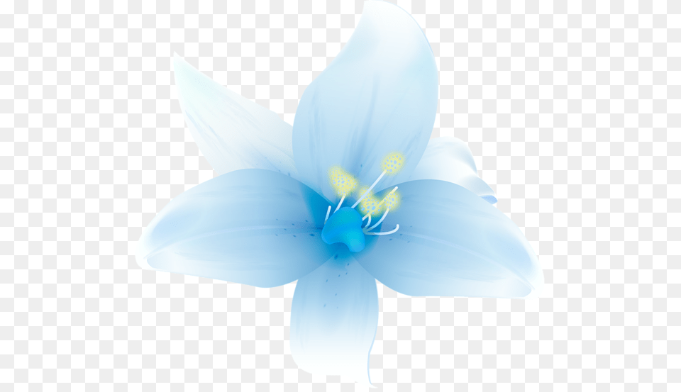 Download Hd Beautiful Flowers By Hanabell1 White Blue White Beautiful Flowers, Anther, Flower, Plant, Lily Free Transparent Png
