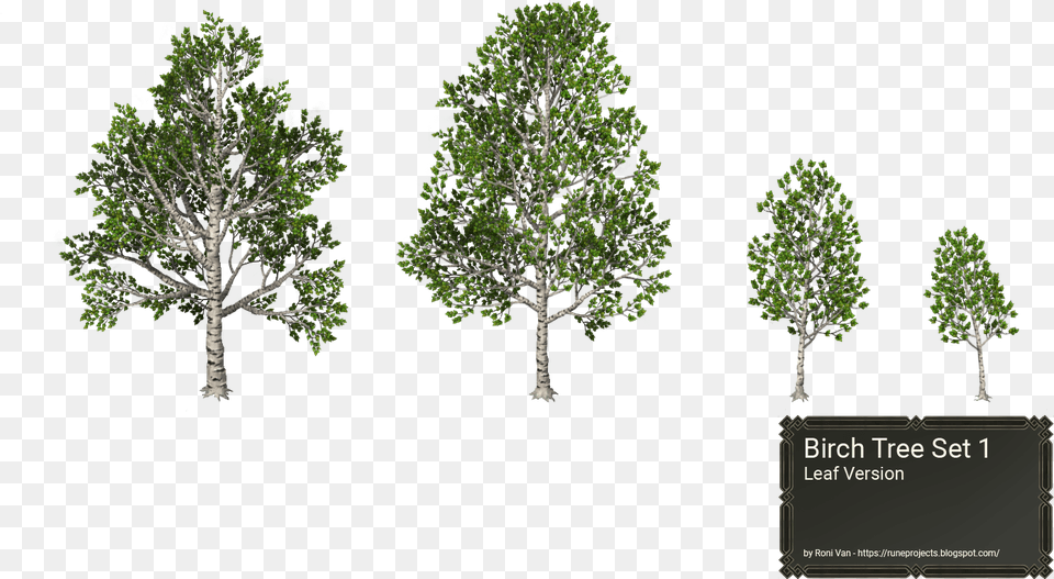 Hd Birch Trees White Birch Rpg Maker, Oak, Plant, Sycamore, Tree Free Png Download