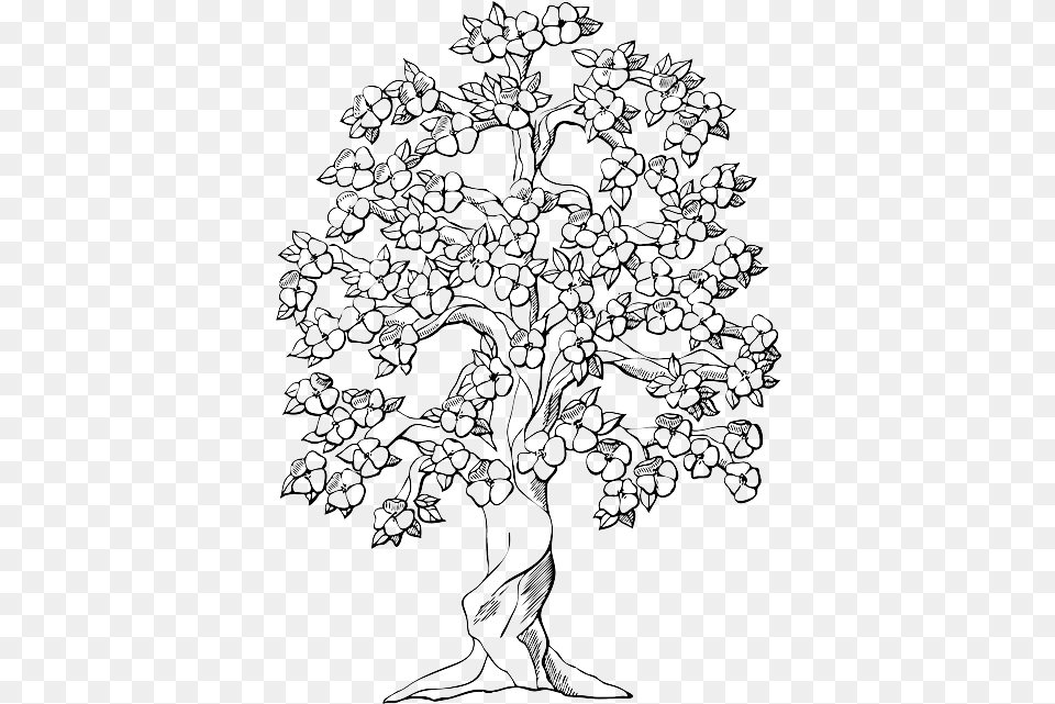 Download Hd Black Apple Fruit Outline Drawing Sketch Printable Tree Coloring Pages, Art, Chandelier, Lamp, Nature Png Image