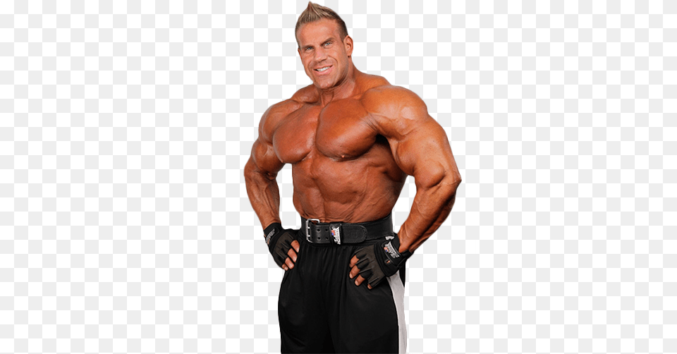 Download Hd Bodybuilder Transparent Barechestedness, Adult, Male, Man, Person Png Image