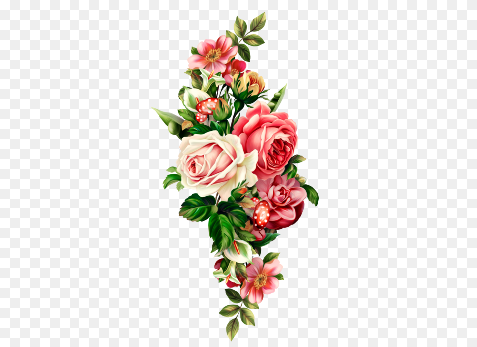 Download Hd Botanical Illustration Vintage Flowers, Art, Floral Design, Flower, Flower Arrangement Free Png
