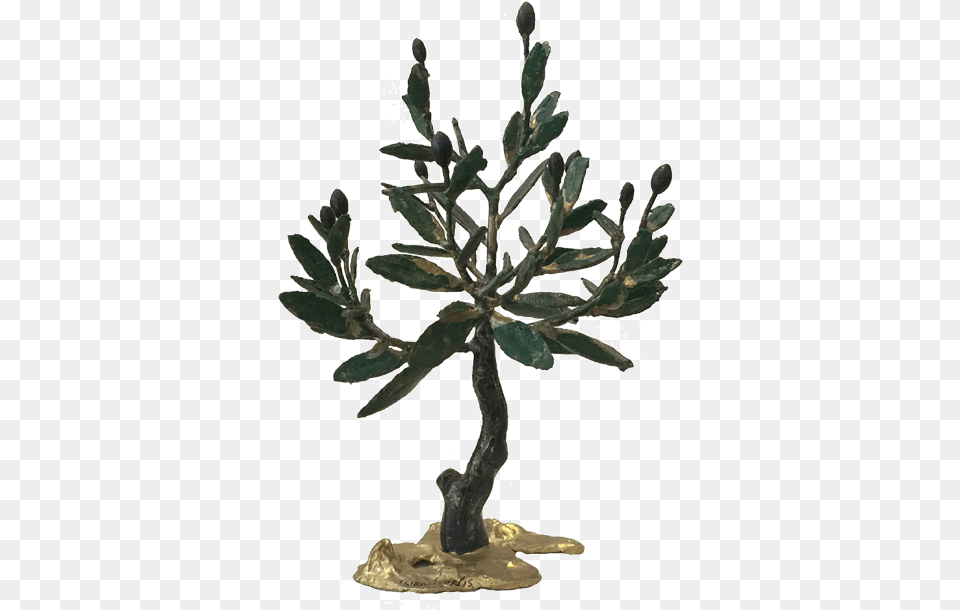 Hd Bronze Olive Tree Olive Transparent Image Olive, Plant, Potted Plant, Flower, Flower Arrangement Free Png Download