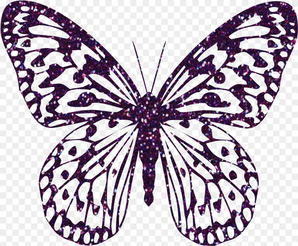 Download Hd Butterfly Clipart Zebra Butterfly, Purple, Accessories, Plant, Jewelry Free Transparent Png
