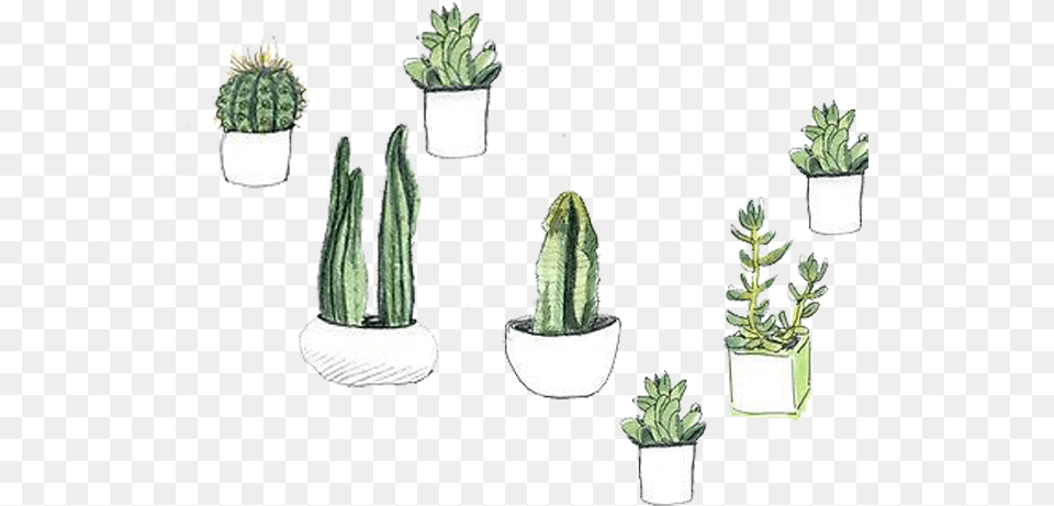 Download Hd Cactaceae Watercolor Painting Succulent Plant Stickers De Plantas, Potted Plant, Jar, Planter, Pottery Free Png