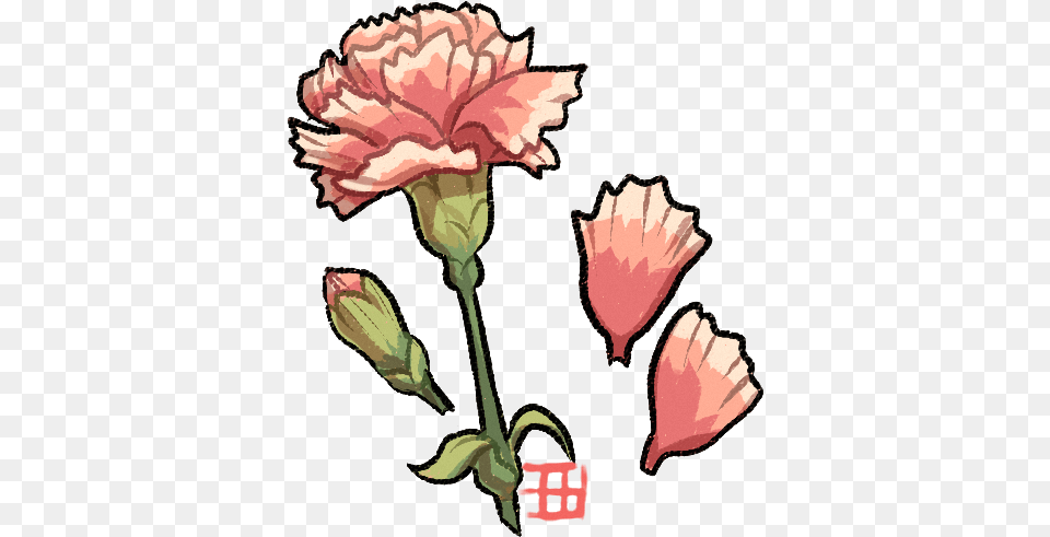 Download Hd Carnation Flower Drawing Carnation Drawing Carnation Drawing Petal, Plant, Adult, Female, Person Png
