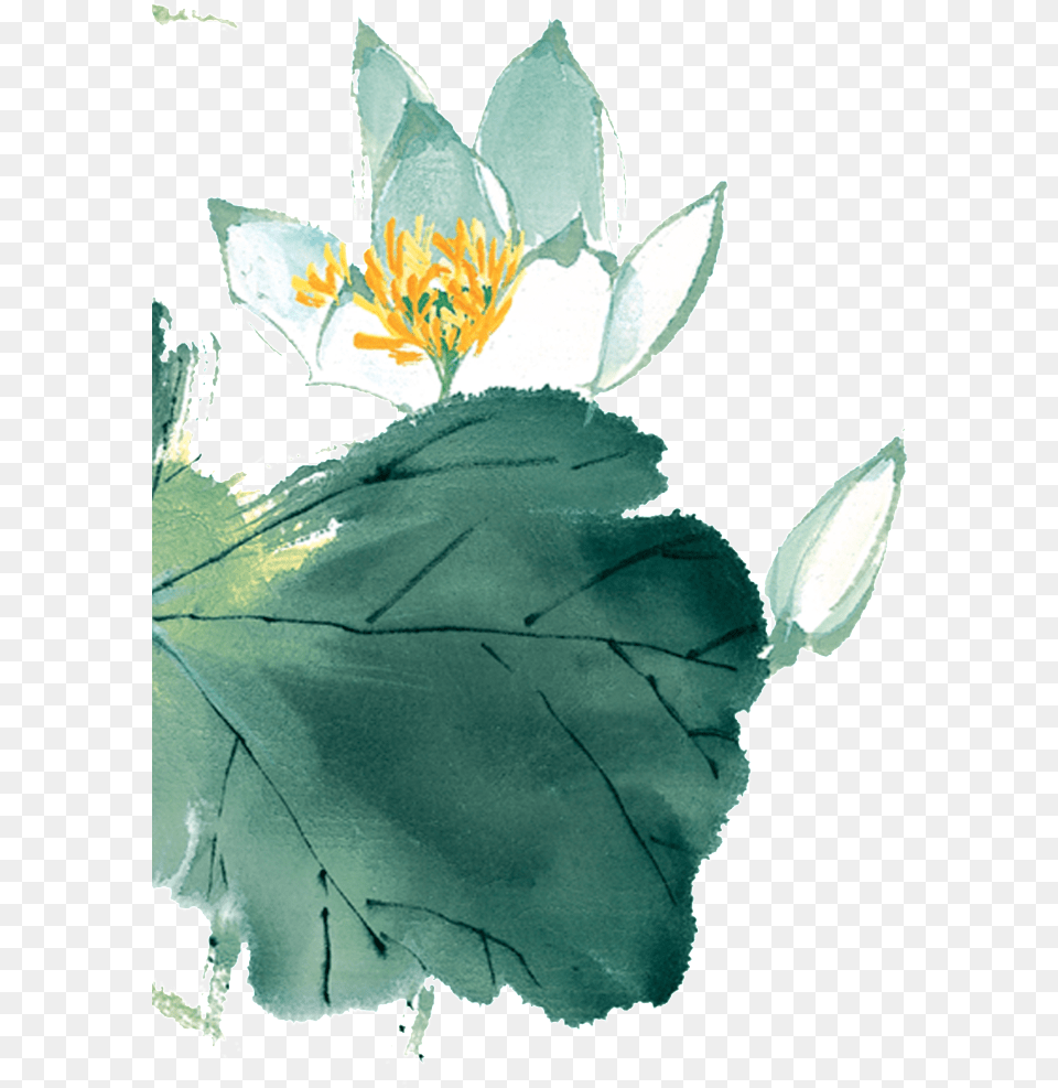 Download Hd Chinese Painting Lotus Ancient Lotus China Lotus Flower Painting, Anther, Leaf, Plant, Anemone Free Transparent Png