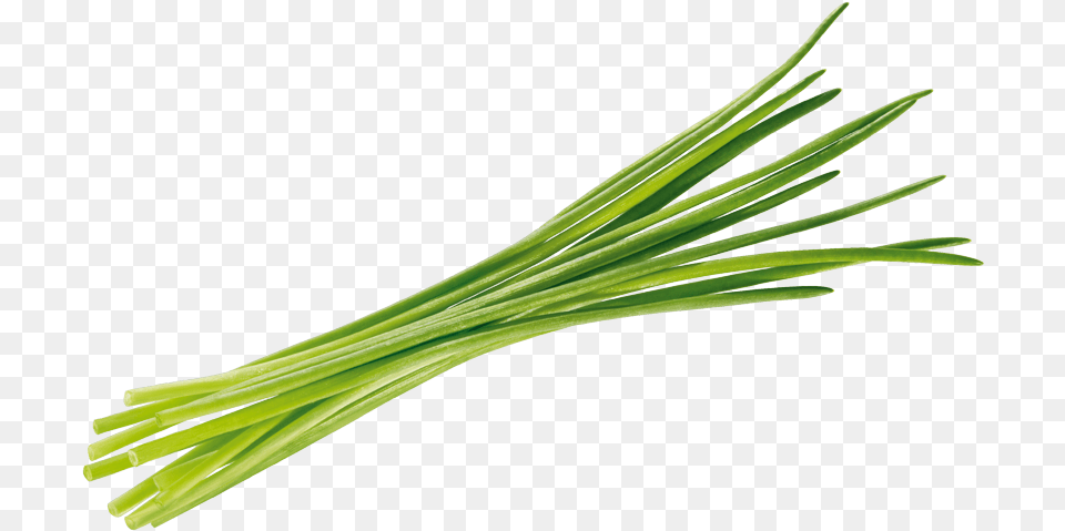 Download Hd Chives Tomato Background Erba Chives, Food, Produce, Plant, Spring Onion Free Transparent Png