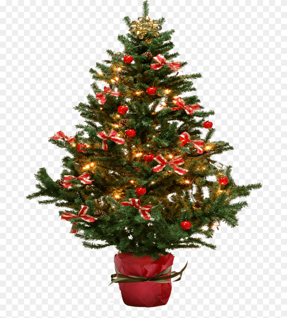 Download Hd Christmas Tree Background Small Christmas Tree, Plant, Christmas Decorations, Festival, Christmas Tree Free Transparent Png