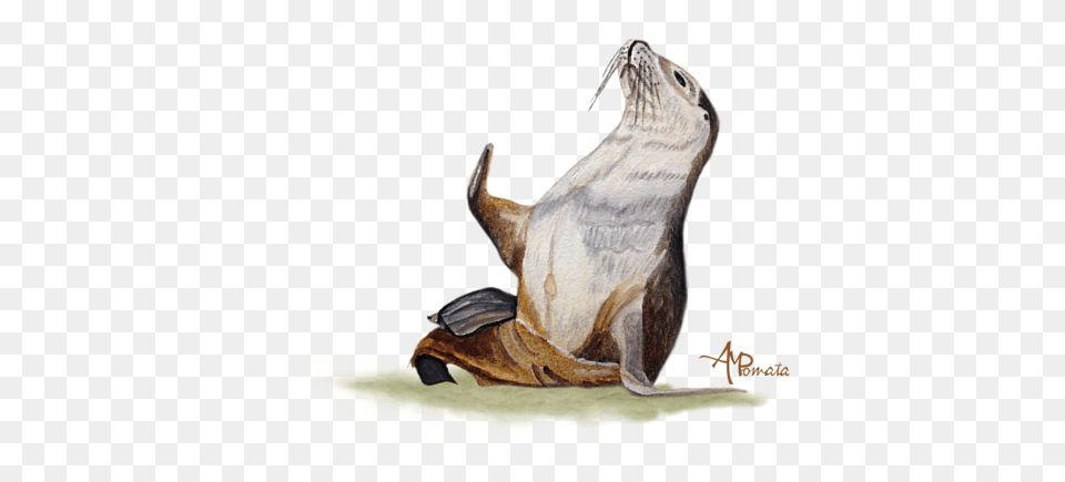 Hd Click And Drag To Re Position The Image If Sea Lion Watercolor, Animal, Mammal, Sea Life, Sea Lion Free Png Download