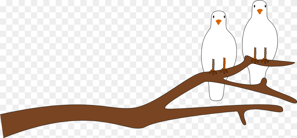 Download Hd Clipart Dove In A Tree Clipart Transparent Dove On Tree Clipart, Animal, Bird, Pigeon, Fish Png Image