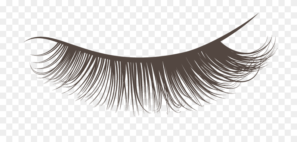 Hd Closed Eyelashes Transparent Background Lash Clipart, Chandelier, Lamp, Accessories, Jewelry Free Png Download