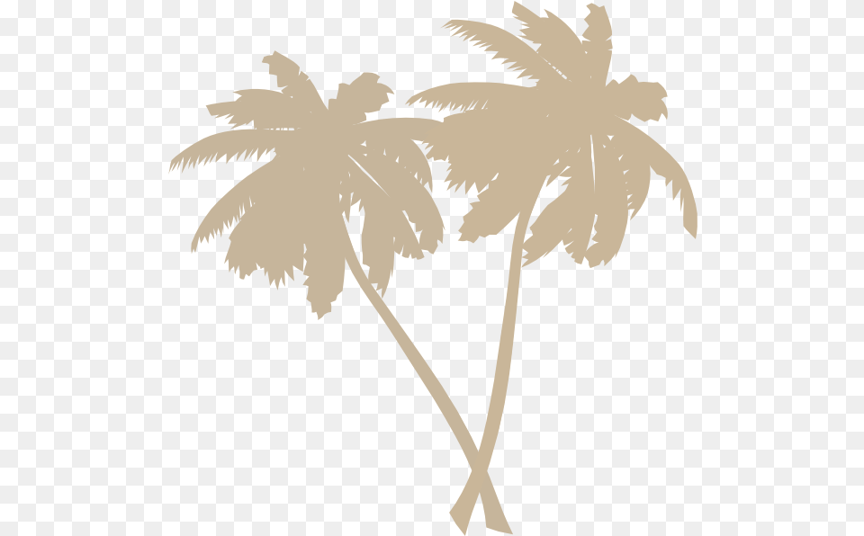 Download Hd Coconut Tree Black Transparent Image Vector Transparent Palm Tree, Leaf, Palm Tree, Plant, Person Png