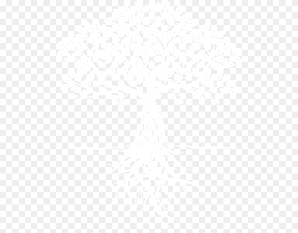 Download Hd Competence White Tree Roots, Art, Stencil, Drawing Free Transparent Png