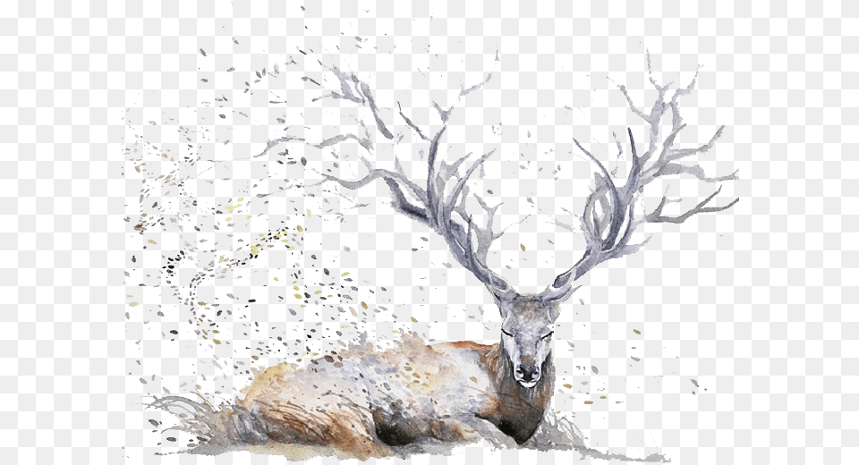 Download Hd Deer Antlers Expressive Watercolor Animal Background Deer Drawing Watercolor, Mammal, Wildlife, Elk, Antelope Free Transparent Png