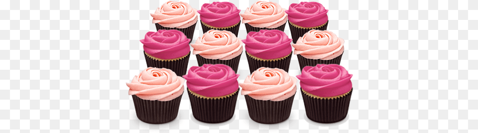 Download Hd Detail Photo Of Pink Roses Rose Cup Cake Baking Cup, Cream, Cupcake, Dessert, Food Free Transparent Png