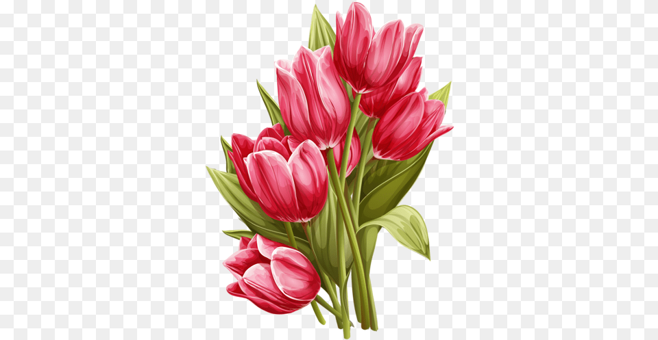 Download Hd Drawing Tulips Vintage Art Tulip Watercolor Painting, Flower, Flower Arrangement, Flower Bouquet, Plant Free Png