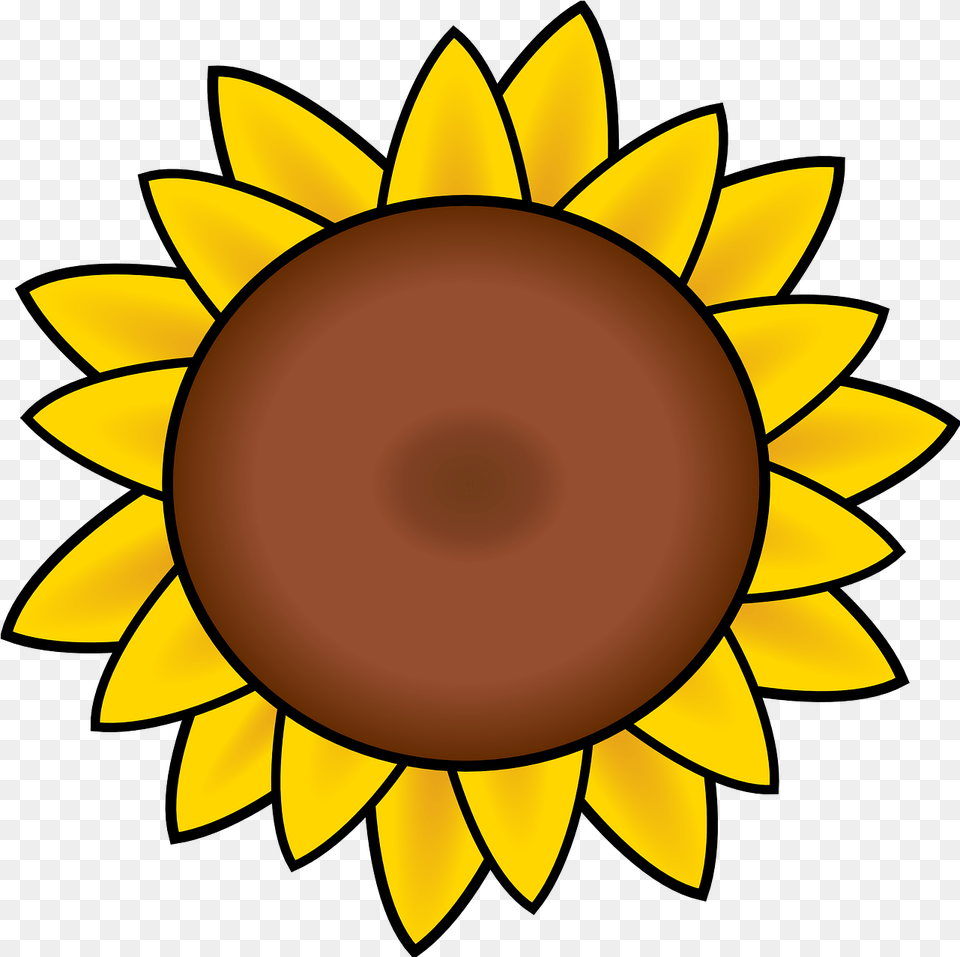 Download Hd Drawn Sunflower Petal Sunflower Sunflower Clipart, Flower, Plant Png Image
